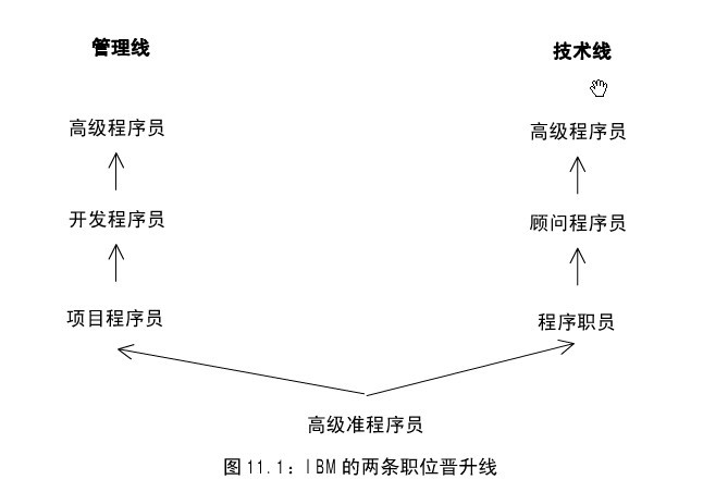 IBM 的两条职位晋升线